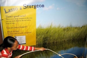 21_Lasso a Sturgeon