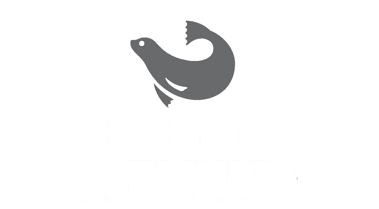 maritime-aquarium-logo