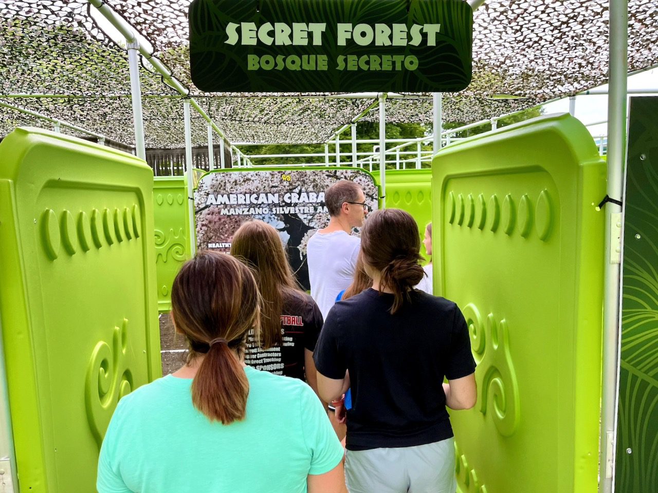 22.Secret Forest.IMG_1422