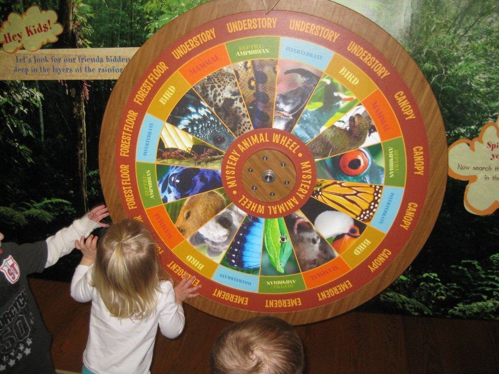 05_Species Wheel (5)