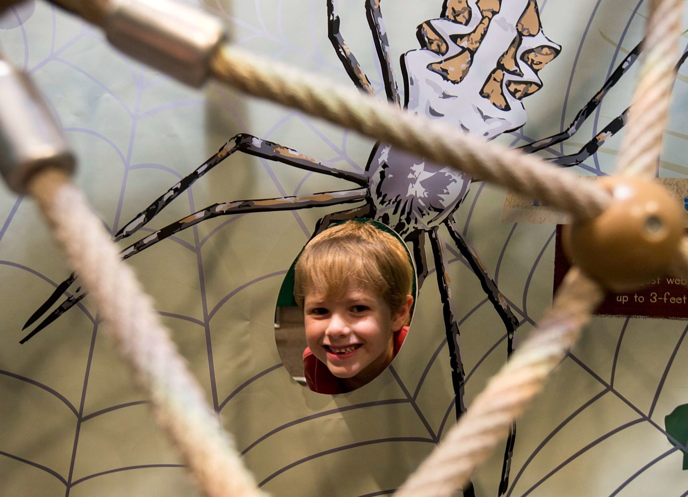 09_SpiderWeb_2