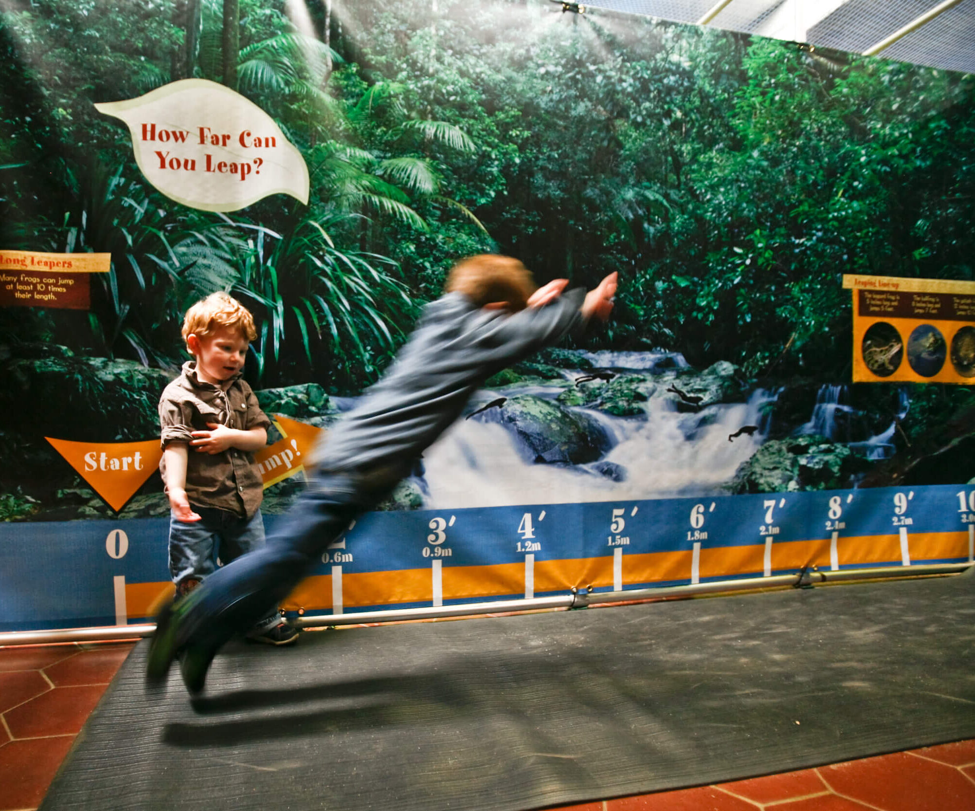13_FrogJump_1