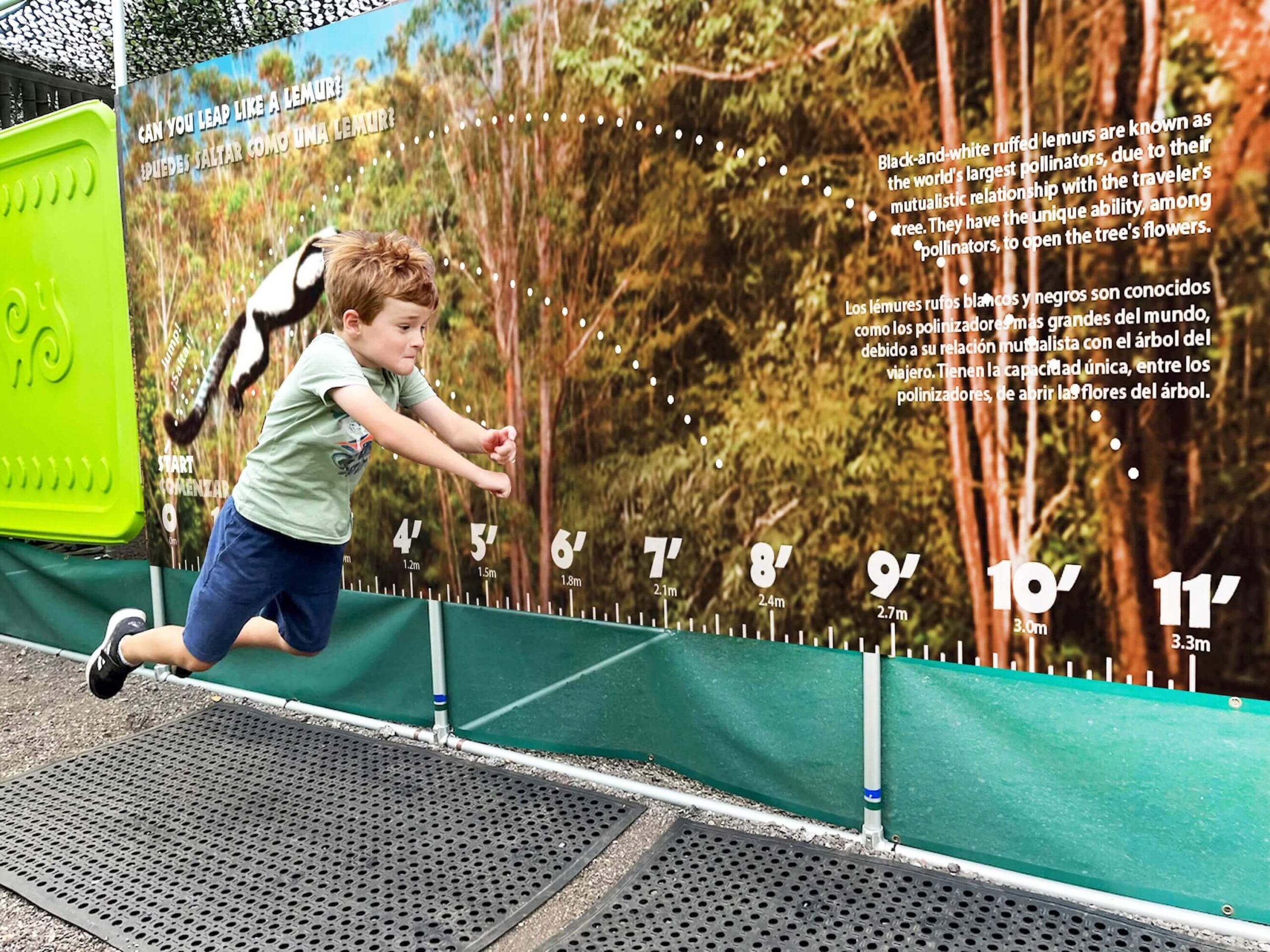 06.Lemur Leap.mockup.IMG_1299 06.Lemur Leap.mockup.IMG_1299